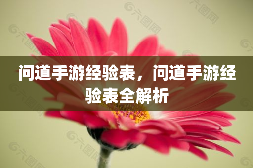 问道手游经验表，问道手游经验表全解析