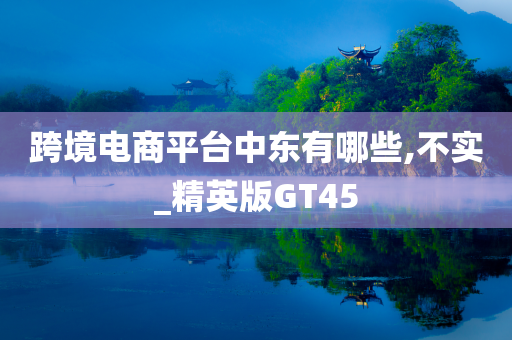 跨境电商平台中东有哪些,不实_精英版GT45