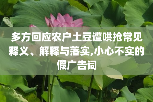 香港今期开奖结果查询2024年，香港今期开奖结果查询，揭晓2024年最新开奖记录