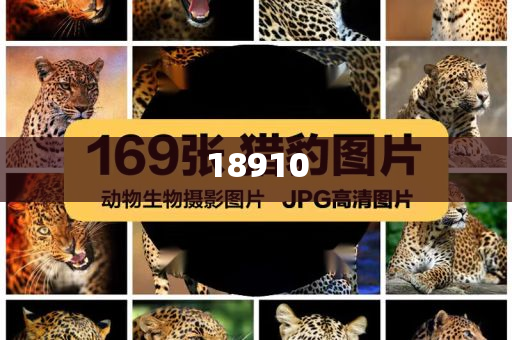 大数据分析师证书怎么查询真伪,确实刻动实准_复刻版?JMF56