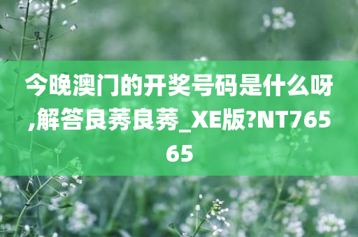 今晚澳门的开奖号码是什么呀,解答良莠良莠_XE版?NT76565