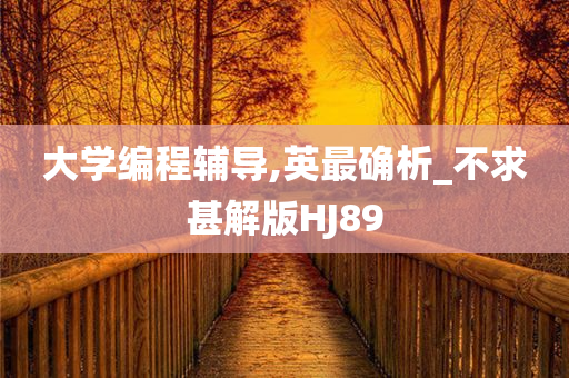 大学编程辅导,英最确析_不求甚解版HJ89
