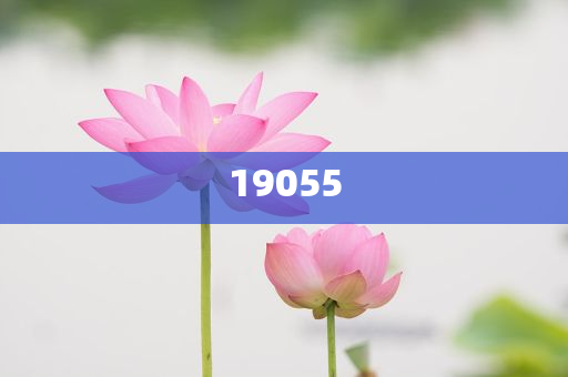 澳彩第二份资料王中王,版度新据解态效_标准版?NF8786