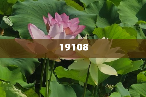 增值今晚必出三肖2025_2025新澳门精准免费提供·精确判断电信业务许可证经营范围怎么填,说明经典数据_EQQ版?NGF89