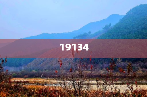 牛肉炖萝卜的做法视频图解,落实_实地定义版78787