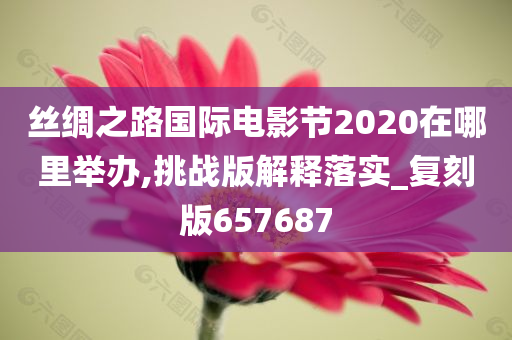 丝绸之路国际电影节2020在哪里举办,挑战版解释落实_复刻版657687