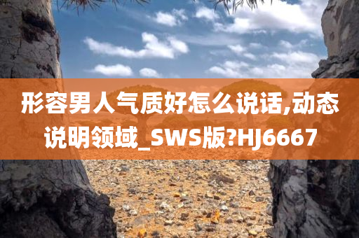 形容男人气质好怎么说话,动态说明领域_SWS版?HJ6667
