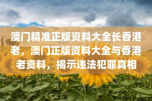 澳门精准正版资料大全长香港老，澳门正版资料大全与香港老资料，揭示违法犯罪真相