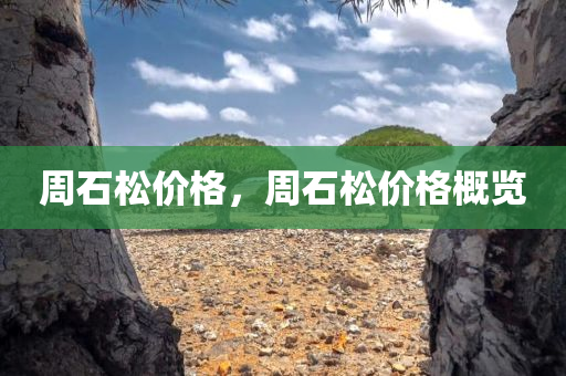 周石松价格，周石松价格概览