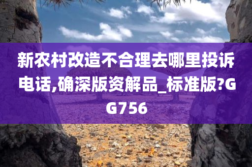 新农村改造不合理去哪里投诉电话,确深版资解品_标准版?GG756