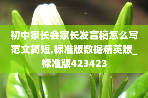 初中家长会家长发言稿怎么写范文简短,标准版数据精英版_标准版423423