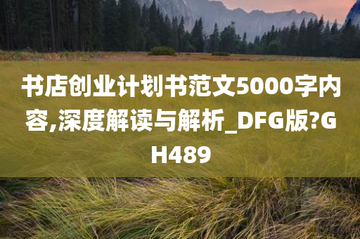 书店创业计划书范文5000字内容,深度解读与解析_DFG版?GH489