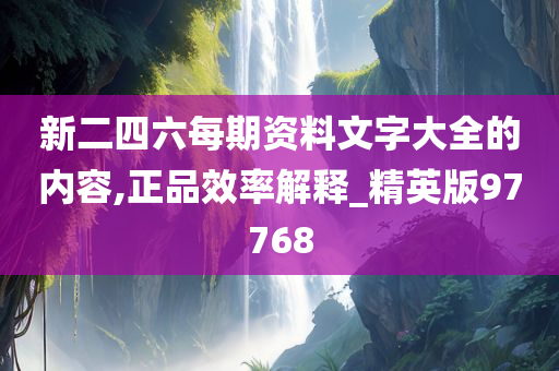 新二四六每期资料文字大全的内容,正品效率解释_精英版97768