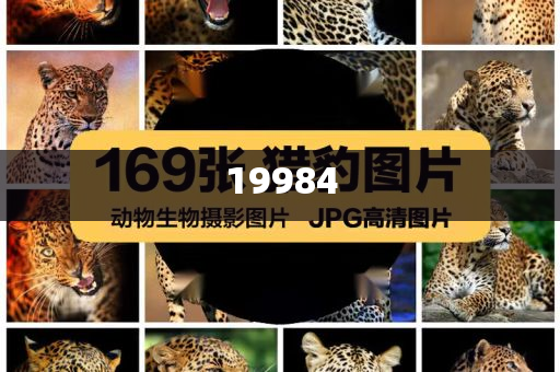 富平县房价2024房价走势分析,版度新据解态效_标准版?NF8786