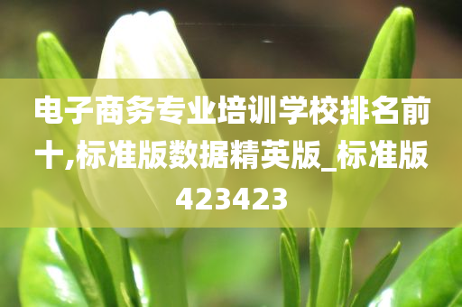 电子商务专业培训学校排名前十,标准版数据精英版_标准版423423