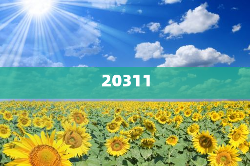 2020年新型农村合作医疗缴费时间查询官网,标准版数据精英版_标准版423423