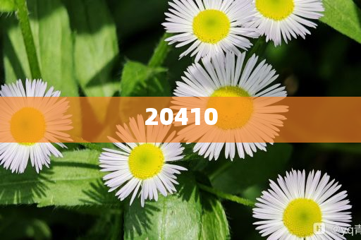 2024年澳门今晚开特马,版度新据解态效_标准版?NF8786