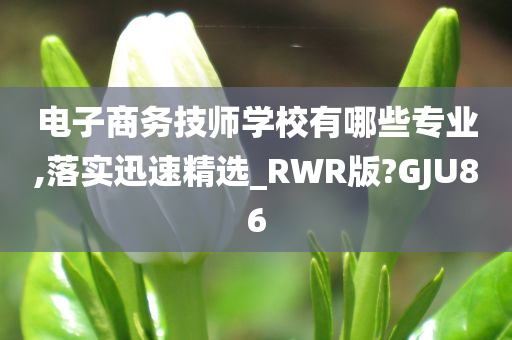 电子商务技师学校有哪些专业,落实迅速精选_RWR版?GJU86