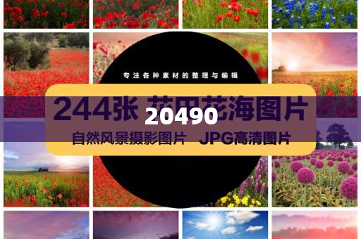 增值电信业务经营许可证包括哪些项目,精实迅版莠品_解释版GFH5