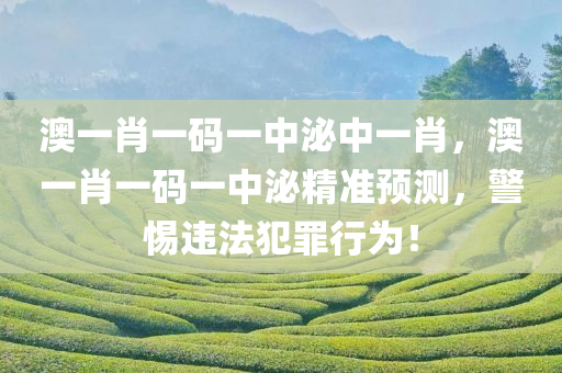 澳一肖一码一中泌中一肖，澳一肖一码一中泌精准预测，警惕违法犯罪行为！