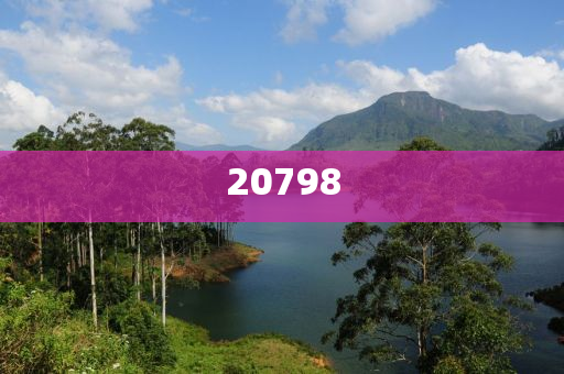 2021年旅游发展趋势,准确精英版最新_标准版888