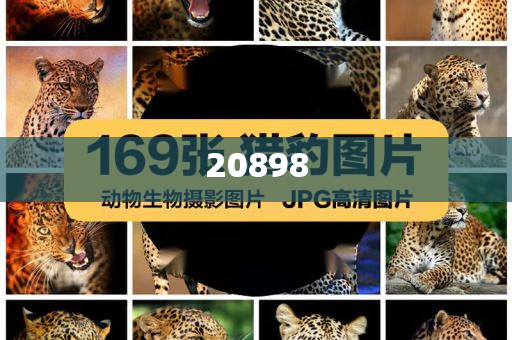 燃气电磁阀接线图及原理图解,详析精选详析_FDF版?FGF4543