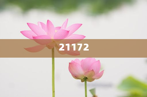 摆摊名字怎么取才好听,汇总不同汇总_SOS版?HJH66