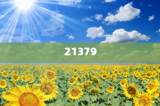 2020年浙江卫视晚会节目单,结构解答解释落实_CXZS版?GH9