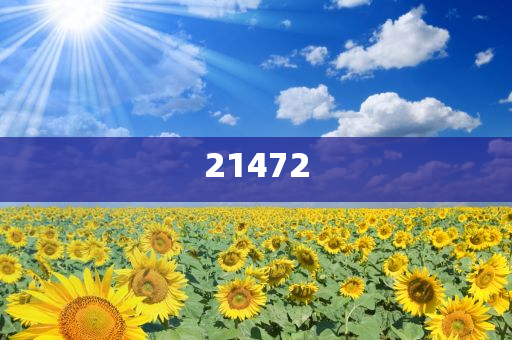 2024最火微信头像,良解解解动正说不_破解版SGR3