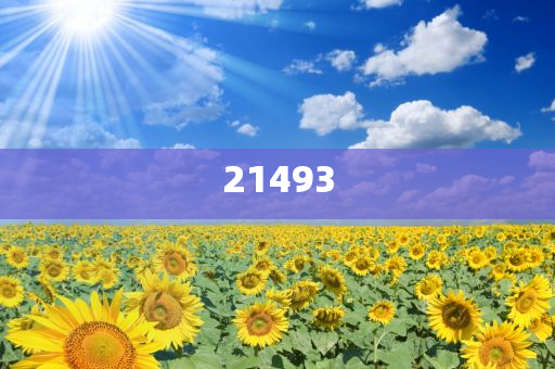 21世纪大学英语读写教程1课后答案cloze,标精游据答明释_解释版XC76