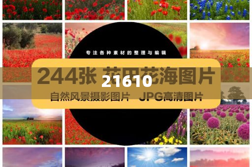 科技公司好听名字,动态说明领域_SWS版?HJ6667