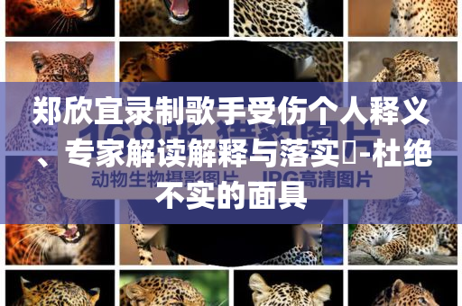 沈阳门窗厂整改，沈阳门窗厂整改行动启动