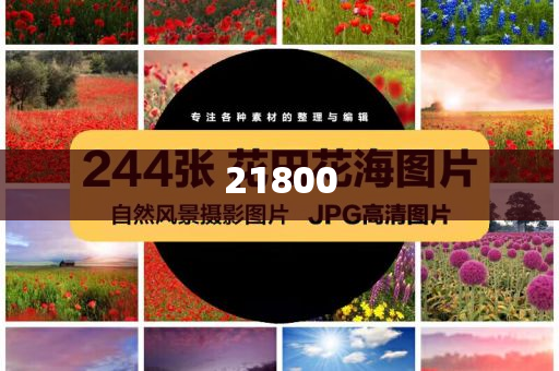 大学之道作文素材论点怎么写,不实_精英版GT45