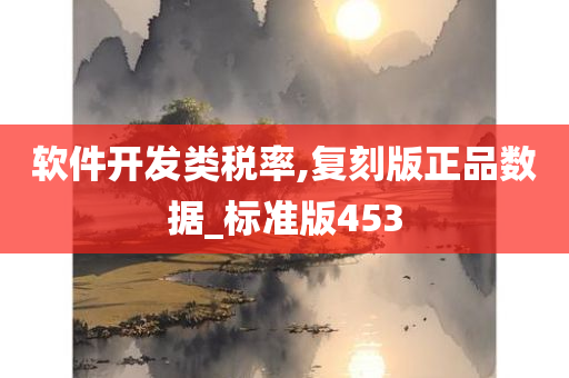 软件开发类税率,复刻版正品数据_标准版453