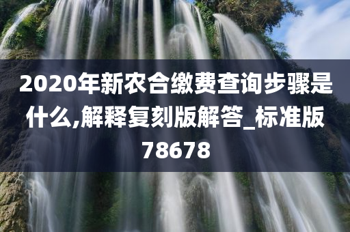 2020年新农合缴费查询步骤是什么,解释复刻版解答_标准版78678