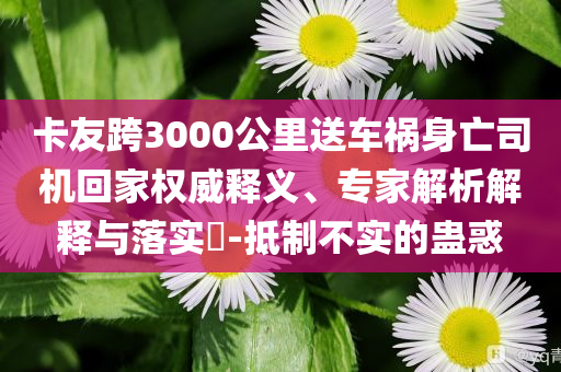 香港一一肖一马，香港肖马传奇故事