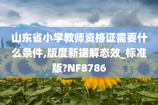 山东省小学教师资格证需要什么条件,版度新据解态效_标准版?NF8786