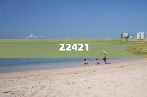 2024新澳门开奖记录,结构解答解释落实_CXZS版?GH9