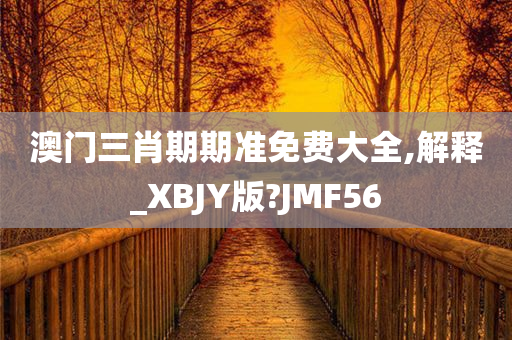 澳门三肖期期准免费大全,解释_XBJY版?JMF56