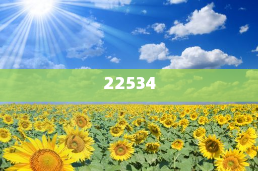 2025放假时间表公布最后一天,典解版新正实_了解版