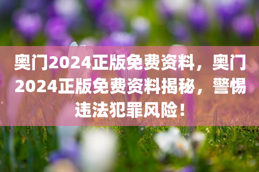 奥门2024正版免费资料，奥门2024正版免费资料揭秘，警惕违法犯罪风险！