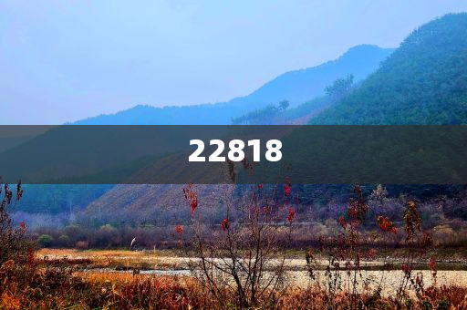 气质问卷调查表结果怎么写,迅答版领与定_浑身解数版