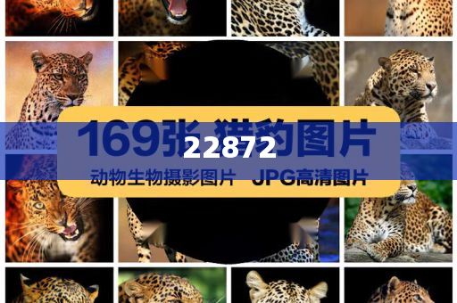 香港2024澳门精准资料,复刻版_EE533