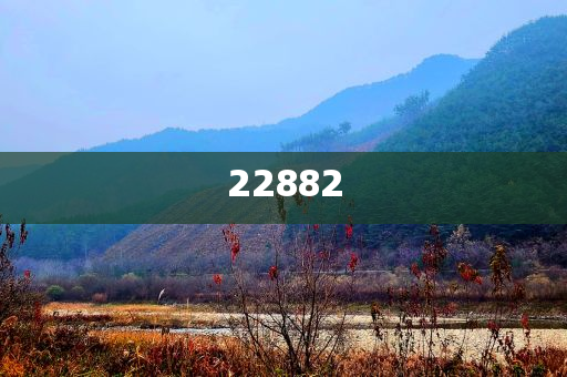 2024年澳门今晚开什么吗,落实_实地定义版78787