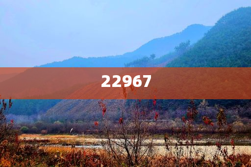 bingwei 第96页