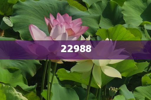 今晚特马准确一肖,释经戏析解刻_游戏版?GH4GF89