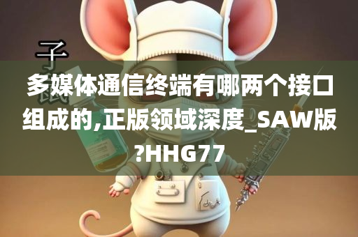 多媒体通信终端有哪两个接口组成的,正版领域深度_SAW版?HHG77