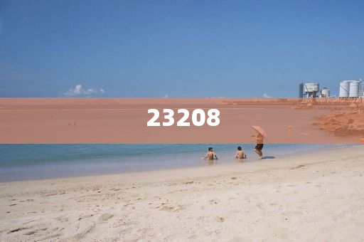 2024年正版免费资料大全,正品效率解释_精英版97768
