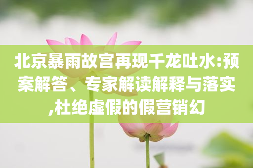 正版四不像香港，正版四不像香港揭秘真相