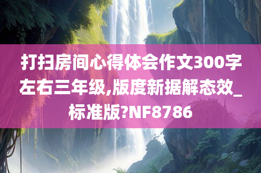 打扫房间心得体会作文300字左右三年级,版度新据解态效_标准版?NF8786